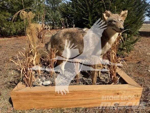 Coyote  Construção - Outros
