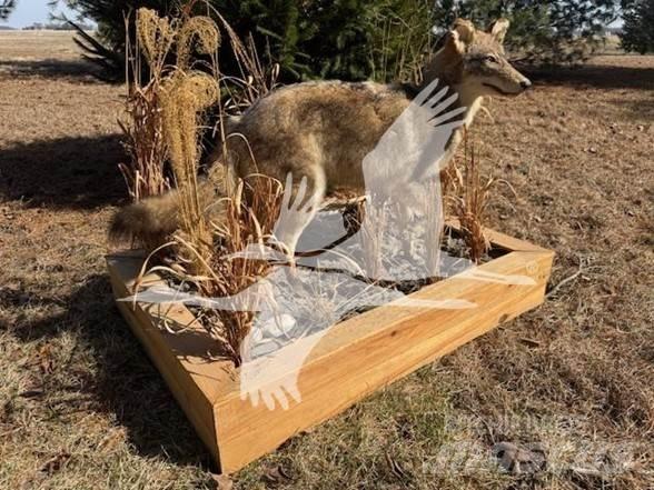 Coyote  Construção - Outros
