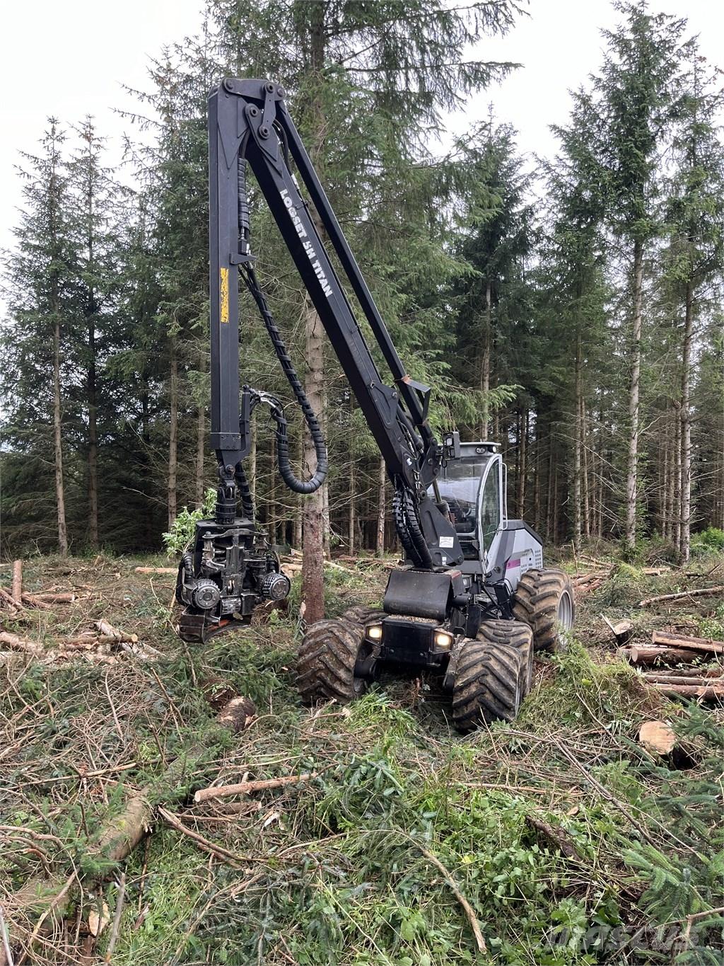 Logset 5 H Processadores florestais