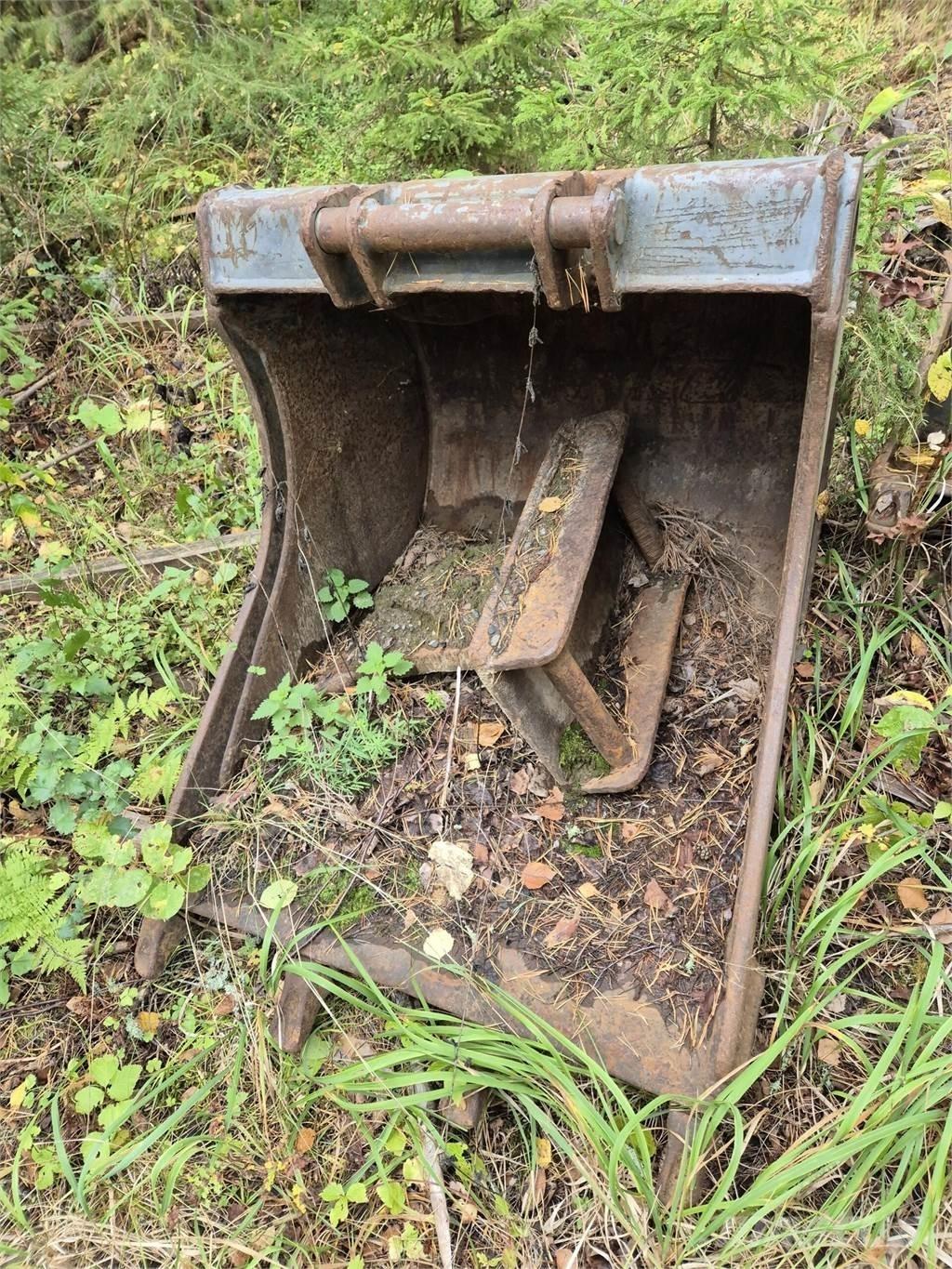 Lännen kynsikauha Baldes