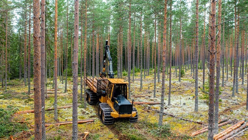TCI 1055C Forwarders florestais