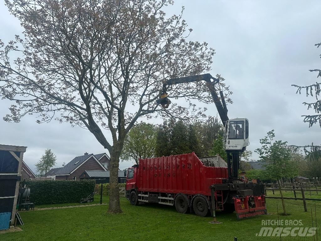 DAF cf As75pc Camiões de transporte de troncos