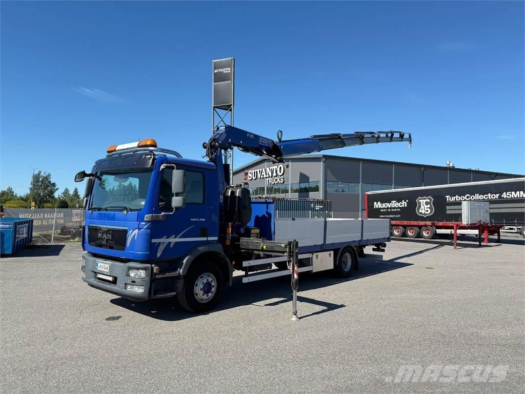 MAN TGM 15.290 4x2 Camiões grua