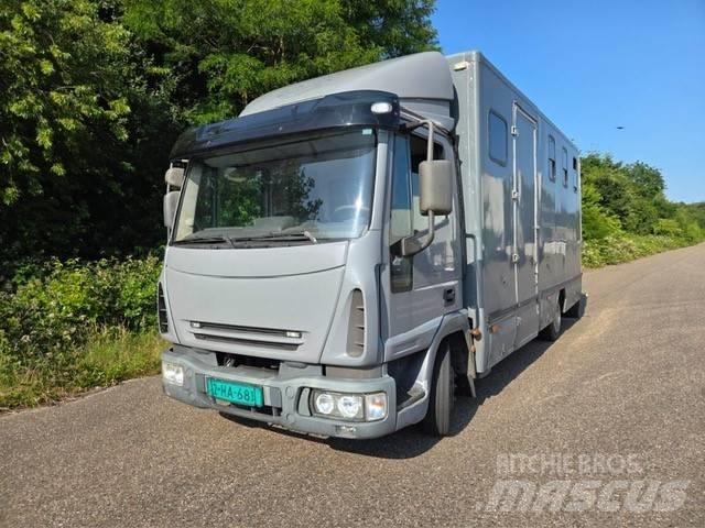 Iveco E 75 Camiões de transporte de animais