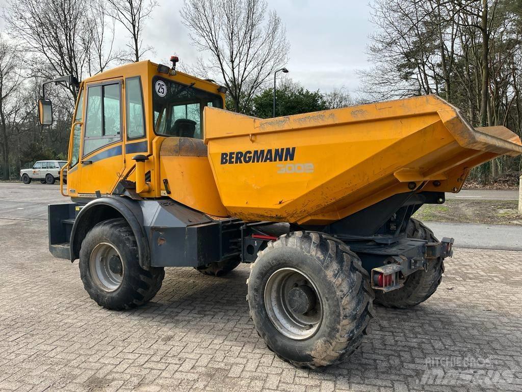 Bergmann 3009 R Camiões articulados