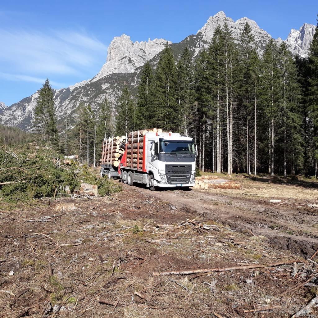 Volvo Truck Reboques Florestais