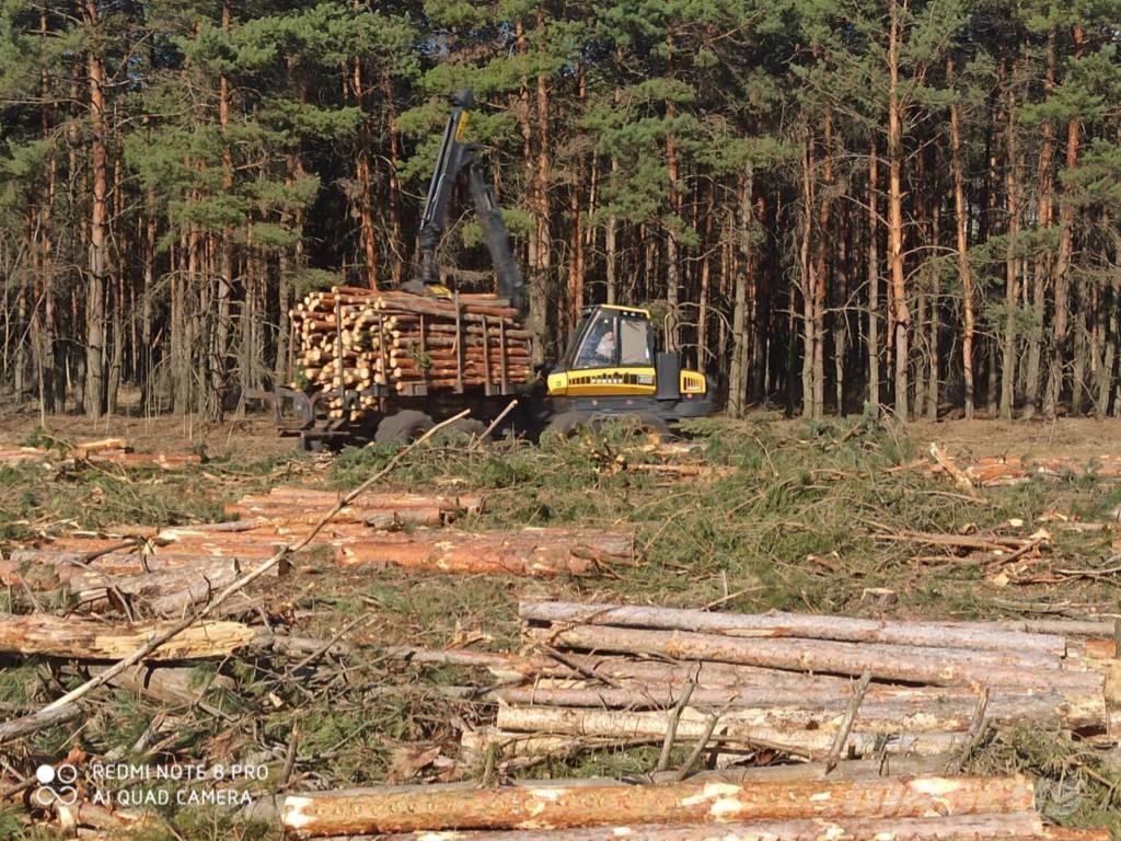 Ponsse Buffalo King Forwarders florestais