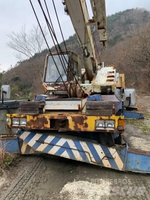 Tadano TR250M-4 Gruas Fora-de-estrada