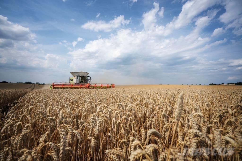 CLAAS Convio 930 Acessórios de ceifeiras debulhadoras