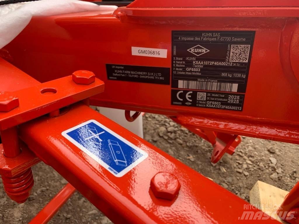 Kuhn GF6503 TEDDER Ancinho virador