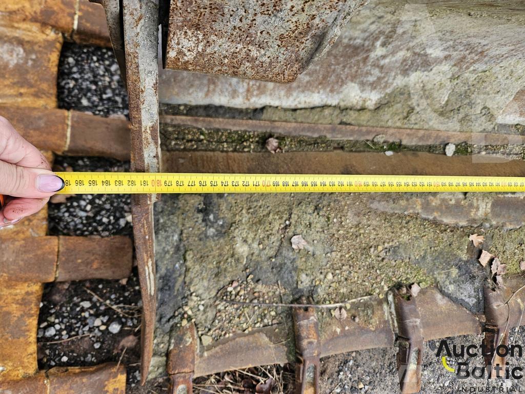 Crocodile bucket Baldes