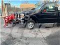 Ford F 350 Camiões estrado/caixa aberta