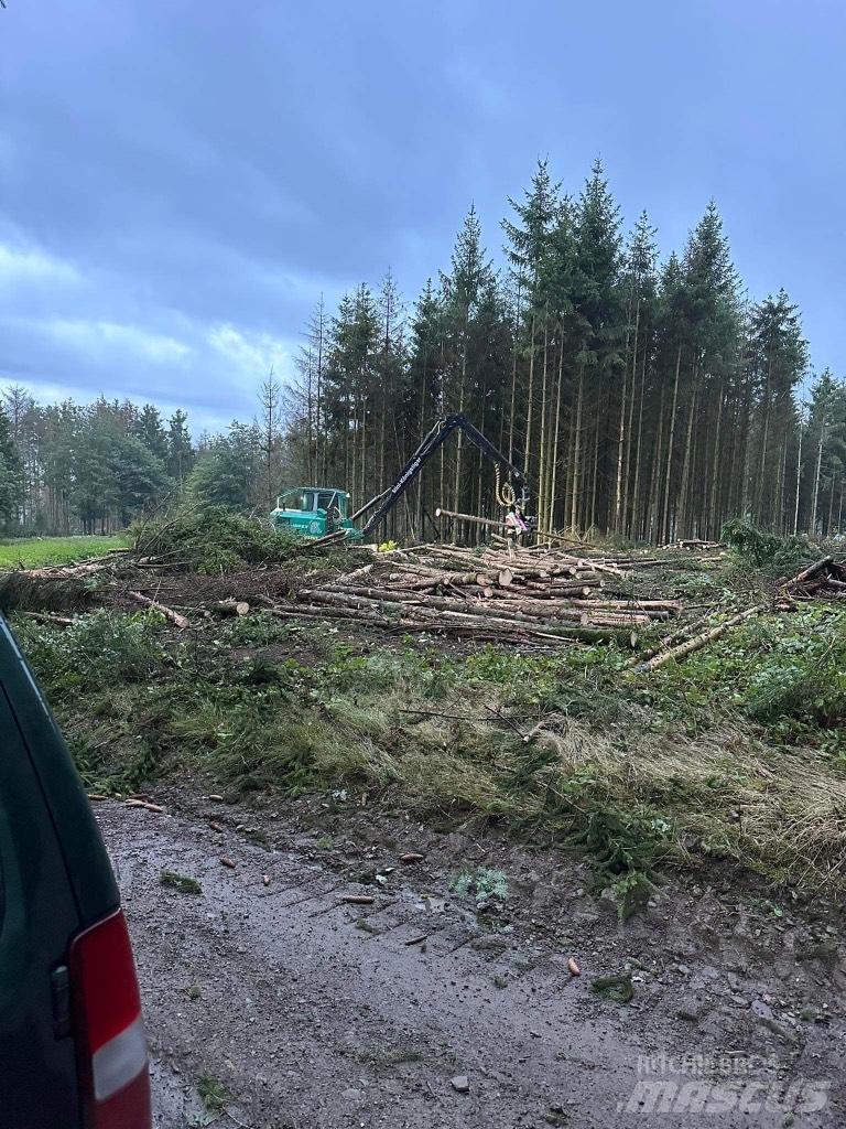 Impex Königstiger Processadores florestais