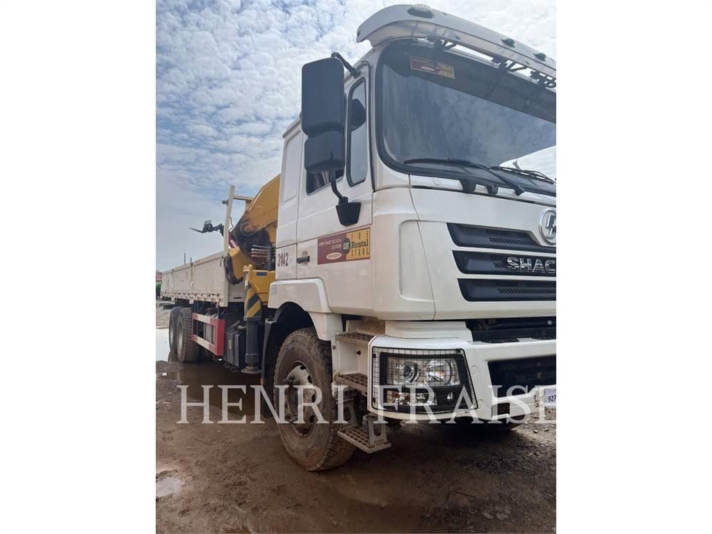 Shacman CAMION GRUE 12T Gruas Todo terreno
