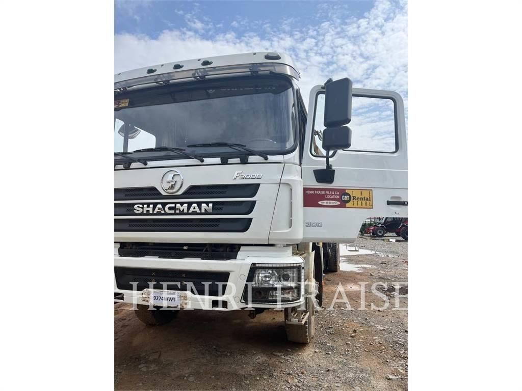 Shacman CAMION GRUE 12T Gruas Todo terreno