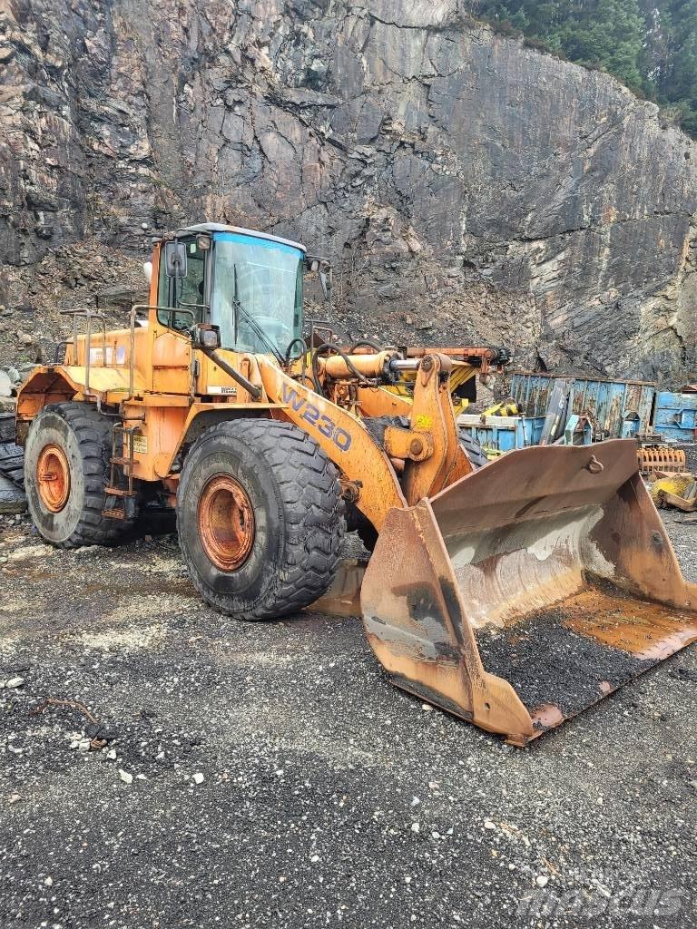Fiat-Hitachi w230 Pás carregadoras de rodas