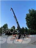 XCMG QY 25 J Auto-gruas