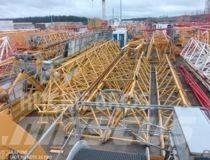 Potain MD265B1-J10 Gruas de construção