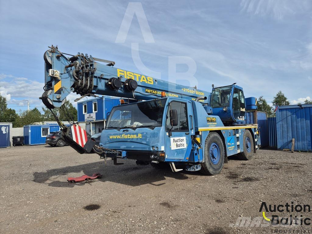 Terex AC 35 L Camiões grua