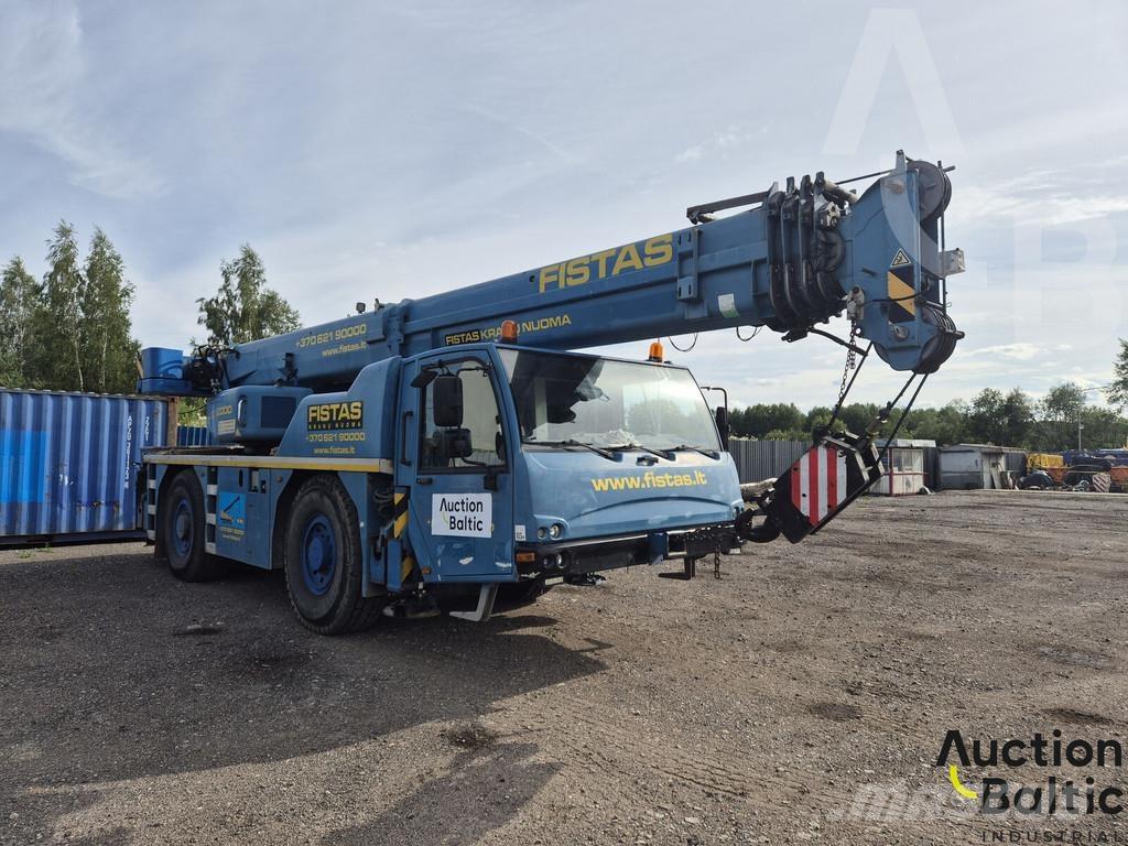 Terex AC 35 L Camiões grua