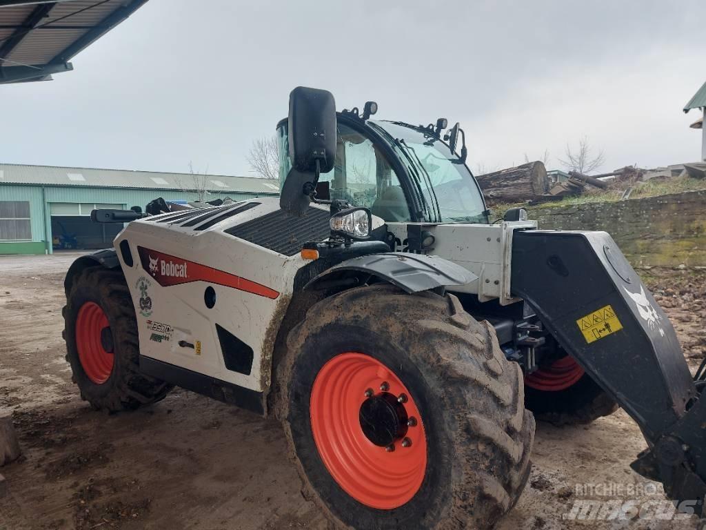 Bobcat TL 35.70 AGRI Manipuladores telescópicos