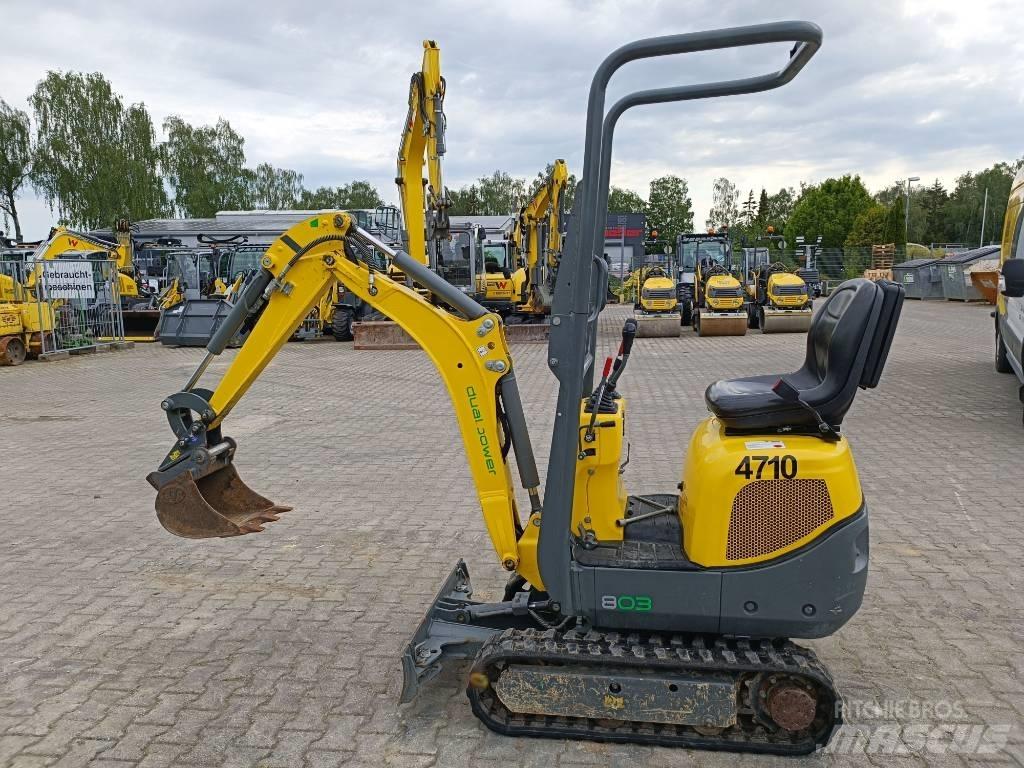 Wacker Neuson 803 Escavadoras de rastos