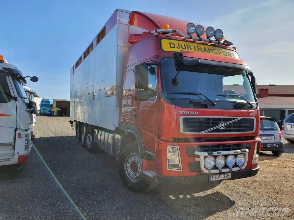 Volvo FM12 Camiões de transporte de animais
