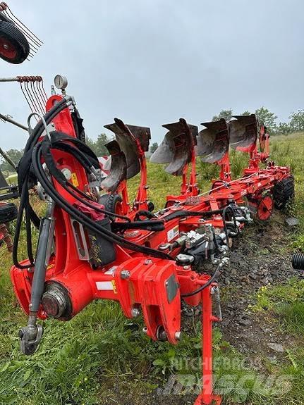 Maschio  Charruas reversíveis
