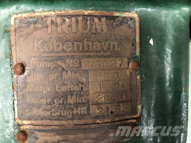  TRIUM QZKS Vandpumpe Bombas de água