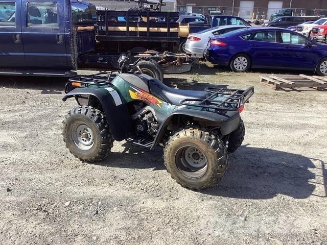 Arctic Cat 454 Veículos todo-terreno