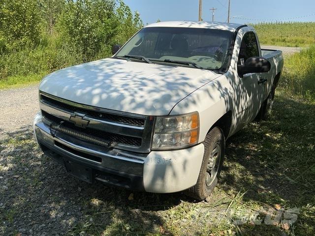 Chevrolet 1500 Pick up de caixa aberta