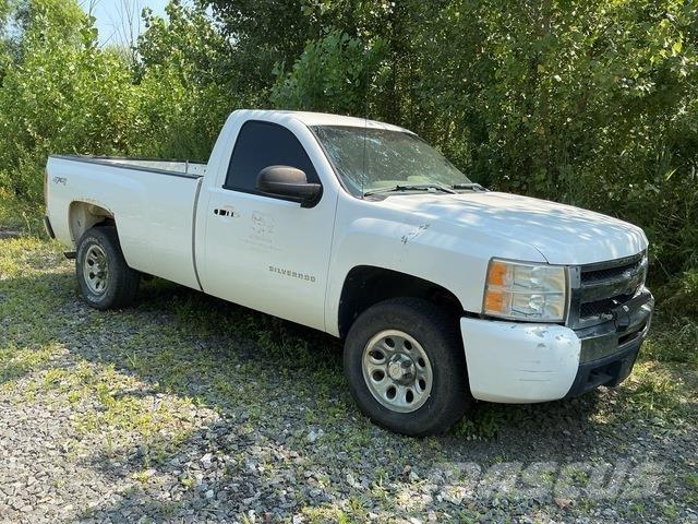 Chevrolet 1500 Pick up de caixa aberta