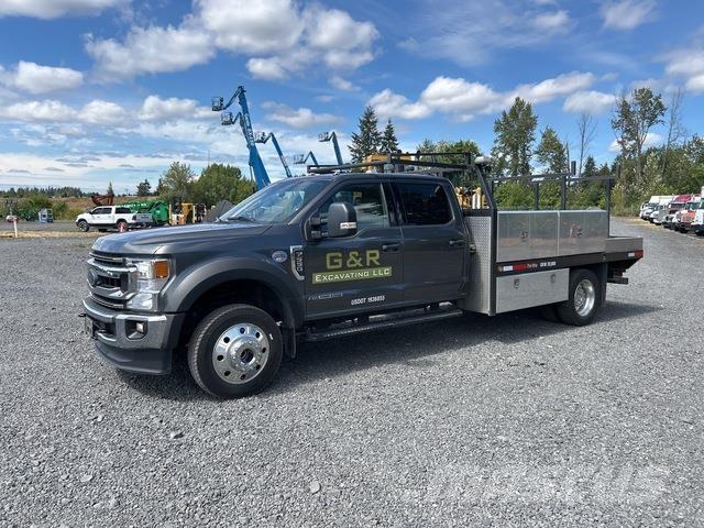 Ford F-550 Camiões estrado/caixa aberta