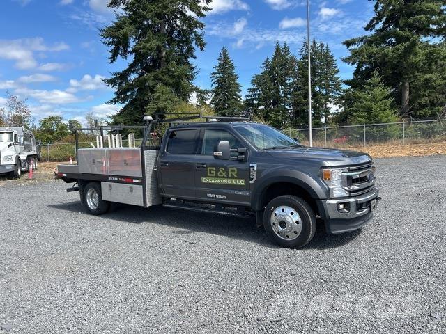 Ford F-550 Camiões estrado/caixa aberta