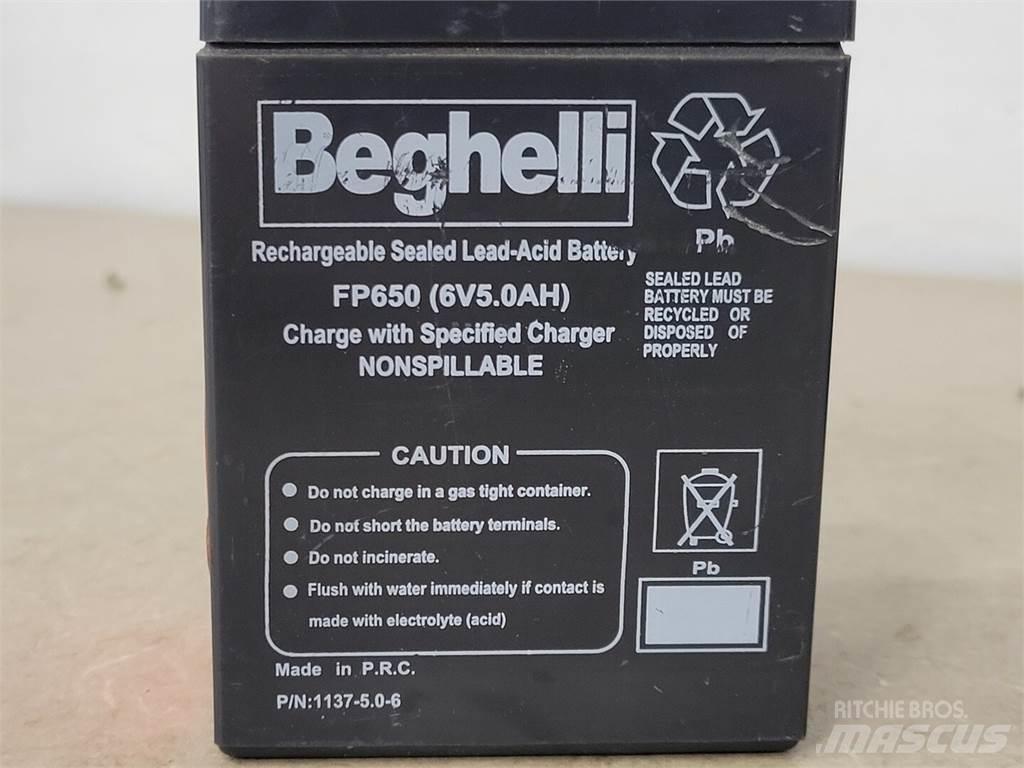  BEGHELLI FP650 Baterias