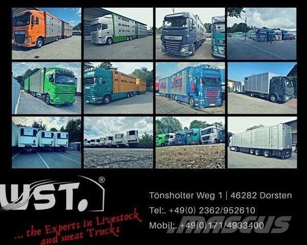 Eggers HTP Plane Reboques de cortinas laterais