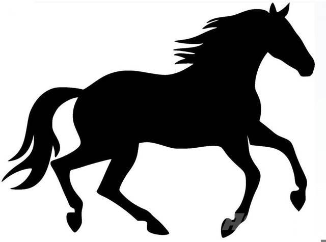  Bay Filly Construção - Outros
