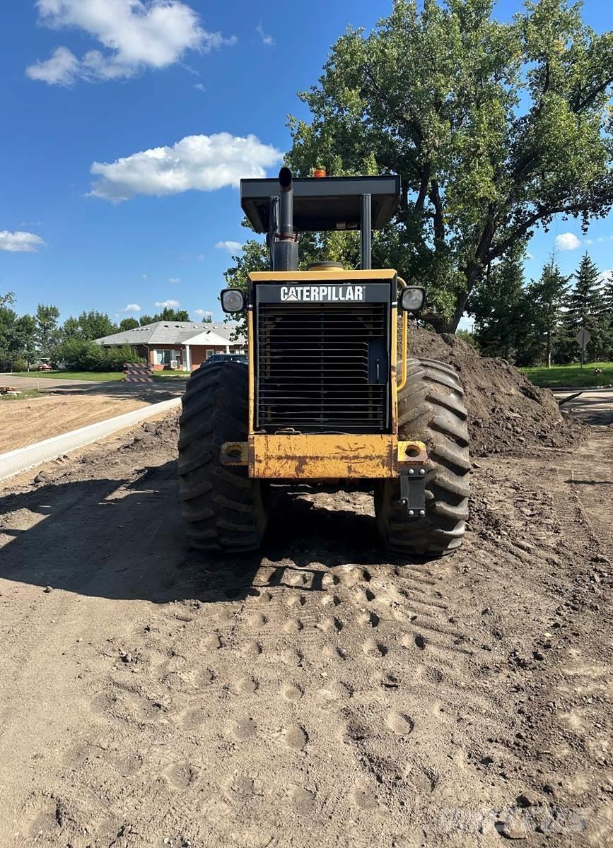 CAT CP563C Compactadores para terra
