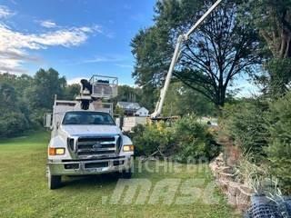 Ford F-750 Camiões grua