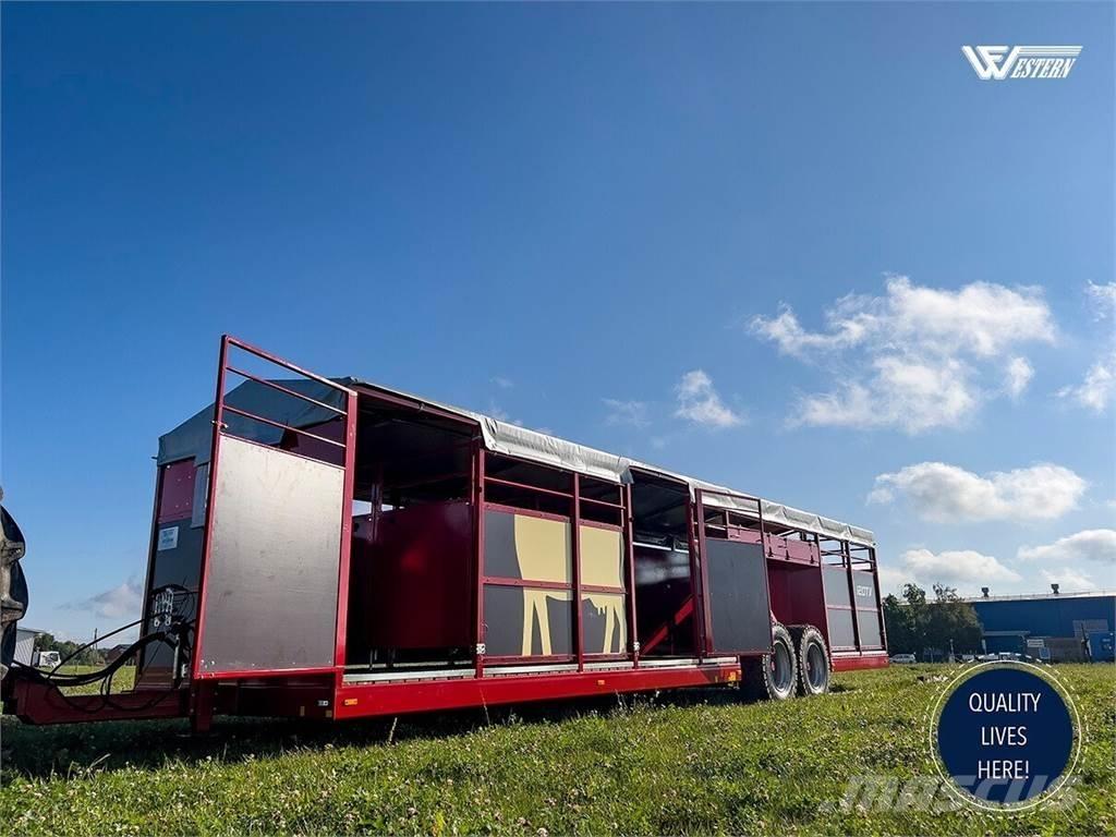 Western DTV 10 Outra maquinaria e acessórios para gado