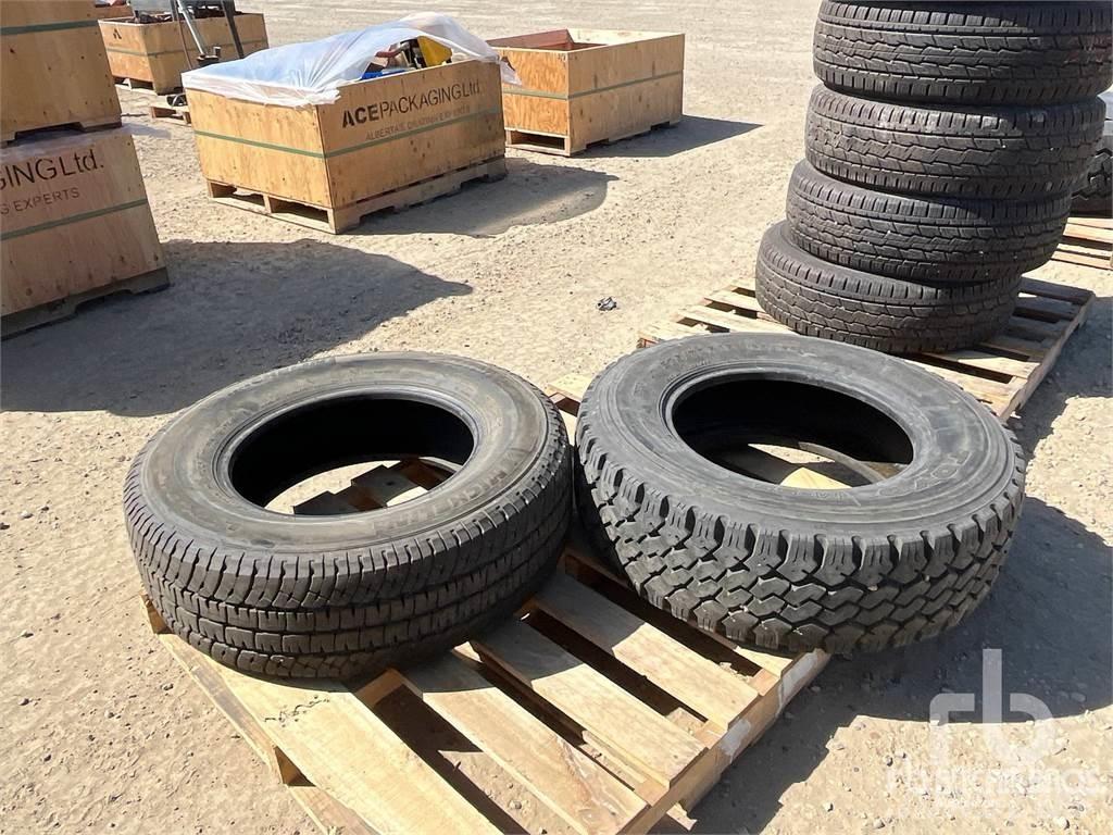  Quantity of (2) Pneus Agrícolas