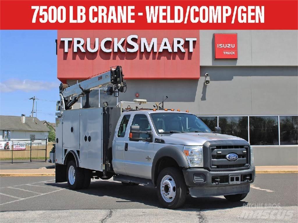 Ford F-550 Camiões grua