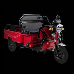  Cargo Volt Mini