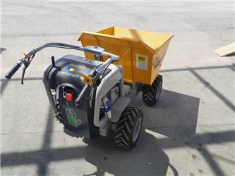 Bergmann C 301