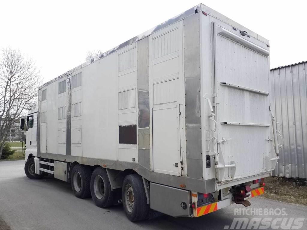 MAN TGX 35.540 8X4 TRIDEM ANIMAL Camiões de transporte de animais