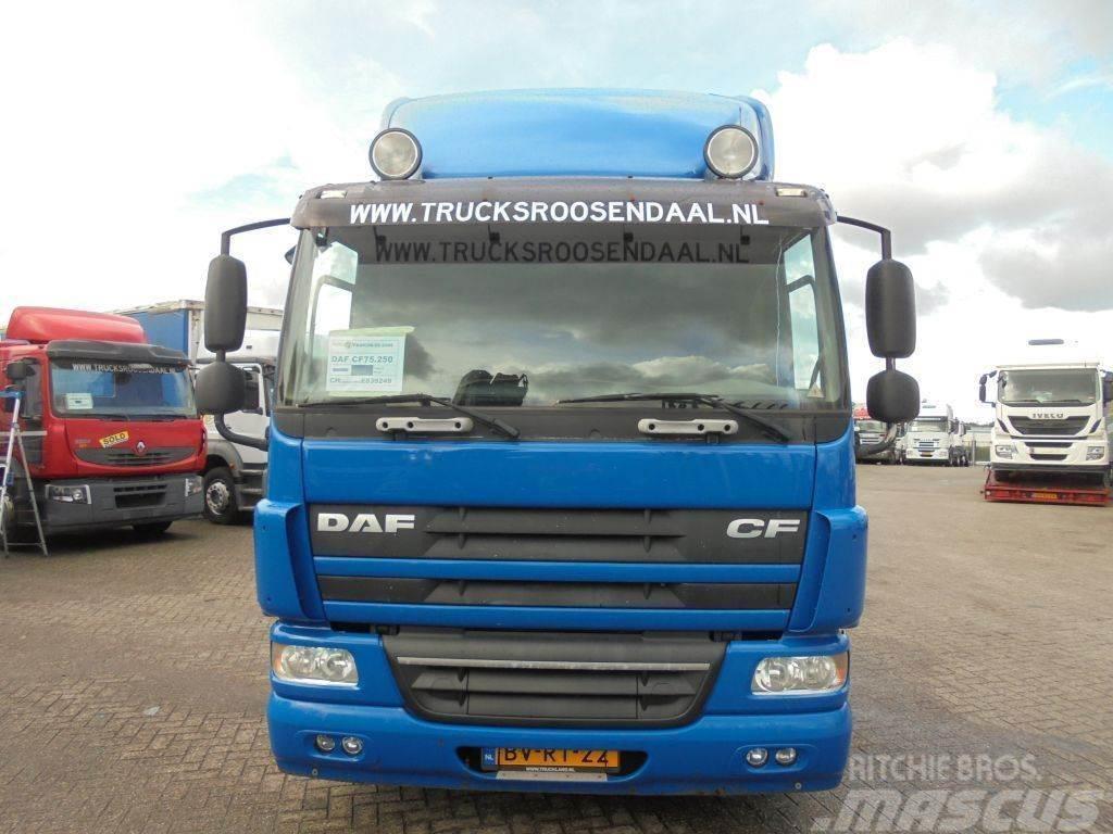 DAF CF 75.250 + Euro 5 Camiões de chassis e cabine