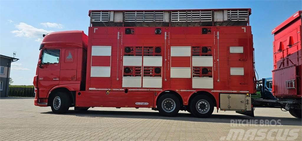 DAF XF 105.510 Camiões de transporte de animais