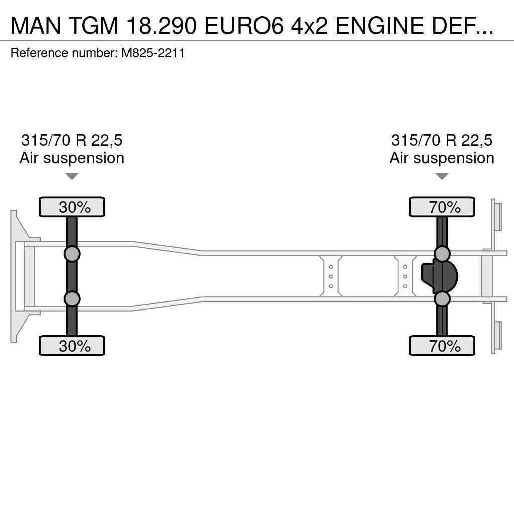 MAN TGM 18.290 EURO6 4x2 ENGINE DEFECT!!! Camiões caixa temperatura controlada