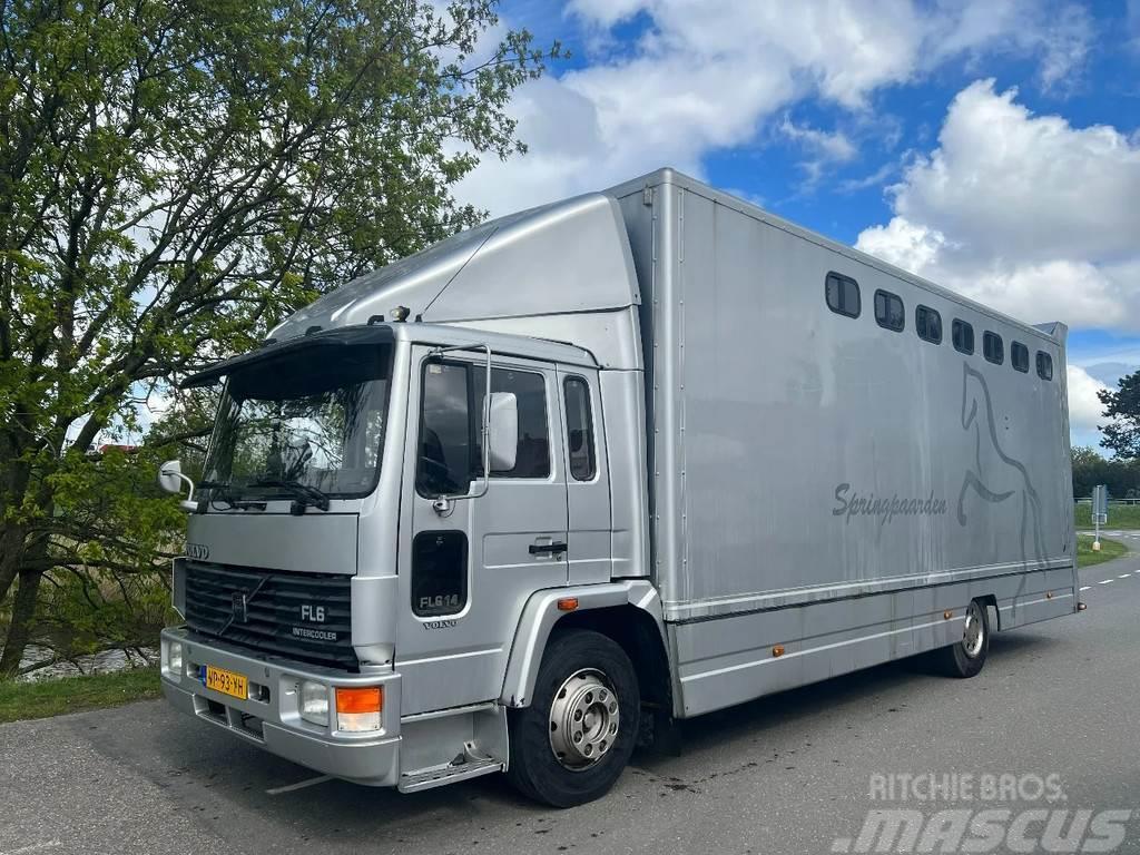 Volvo FL 614 12T 5 Paarden + Zadelkamer Camiões de transporte de animais