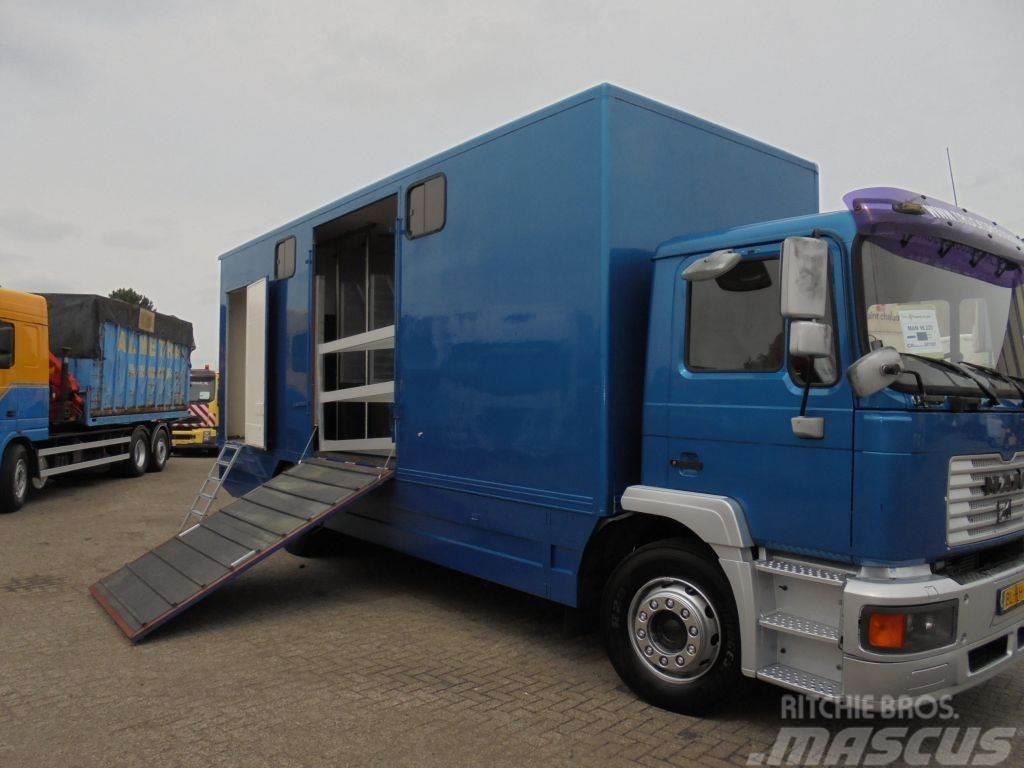 MAN 12 .225 + MANUAL Camiões de transporte de animais